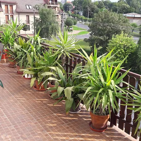 Attila Apartmanhaz 아파트 케츨리